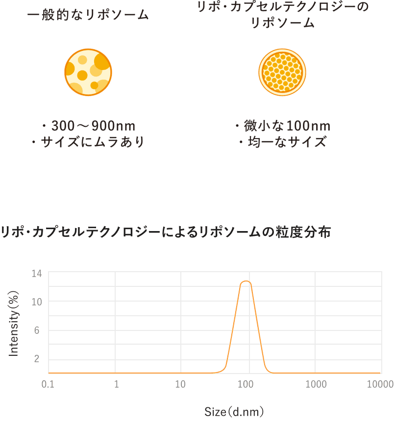 日本の高品質なリポゾームイメージ・ビタミンCのサイズと吸収率の図